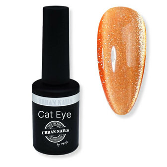 Opal Cat Eye Gel Polish 05 8 gram 