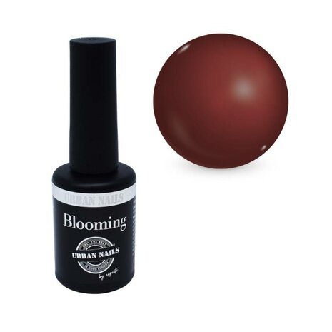 Blooming gel brown 8gram | blooming gel bruin