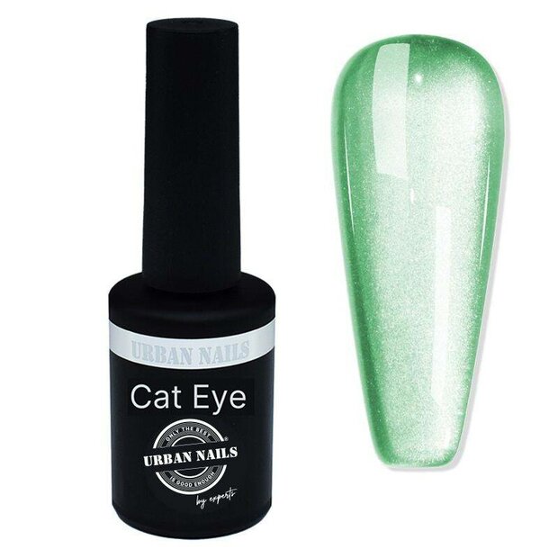 Ceramic cat eye CCA11