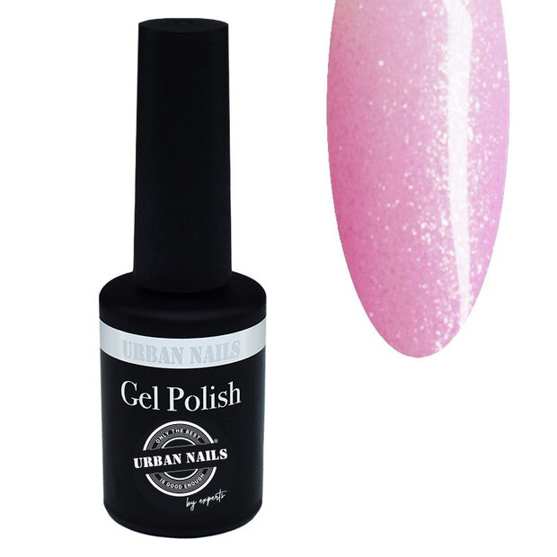 Distri Choise gp Pien