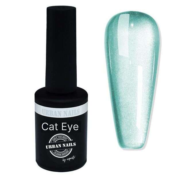 Ceramic cat eye CCA10