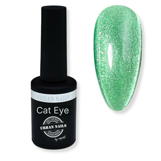 Opal Cat Eye Gel Polish 04 8 gram 