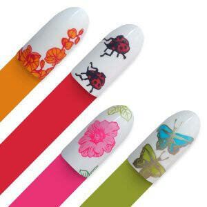 Moyra stamping plate 70 footprints 2